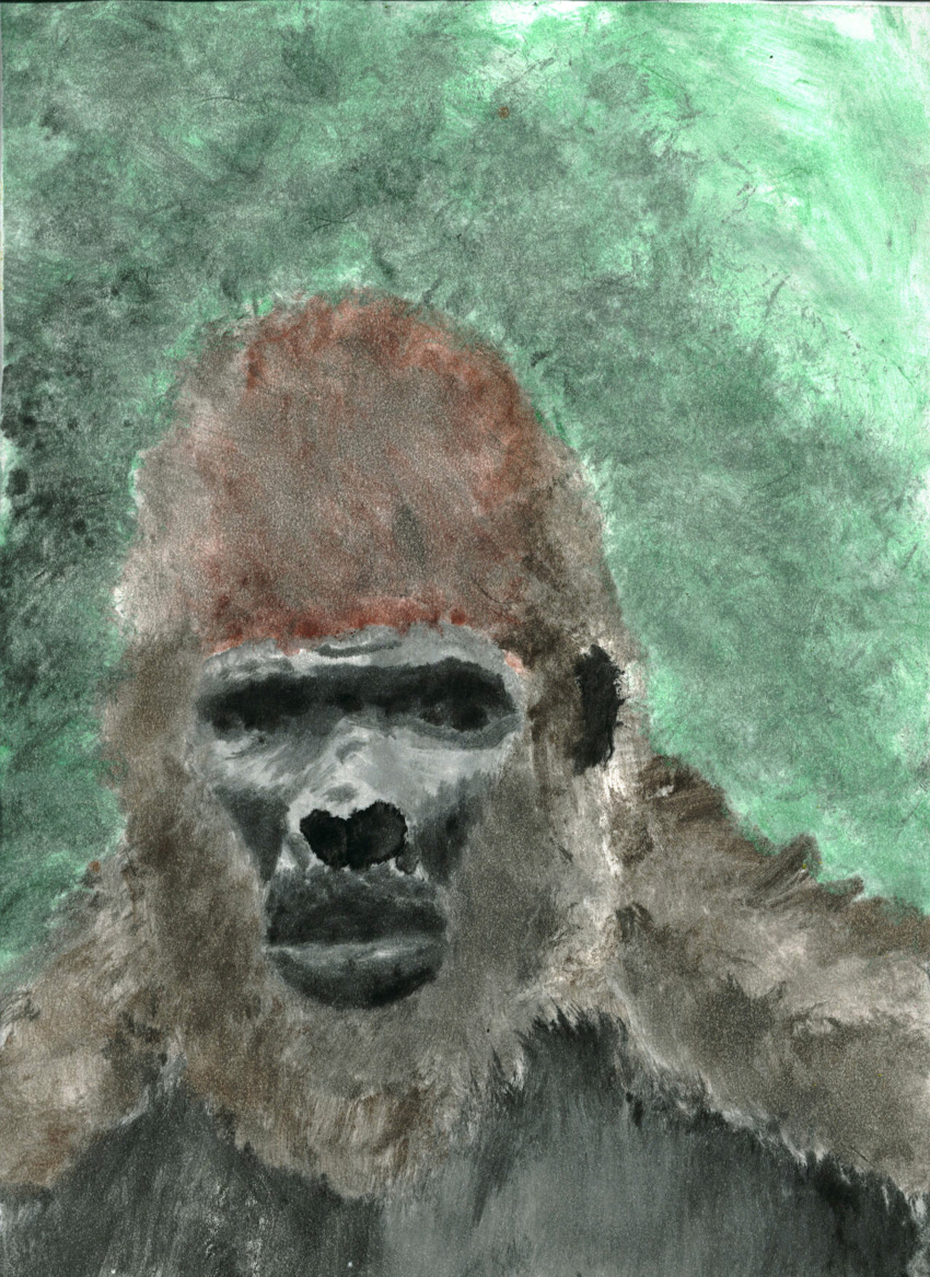 ape.jpg